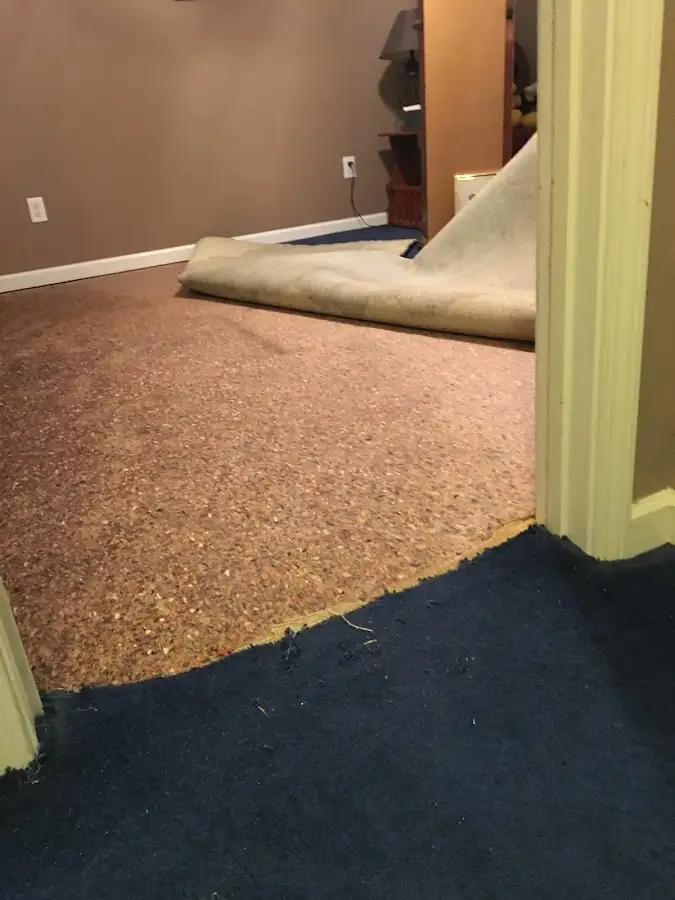 Carpet pad removal revealing water damage during Drying & Dehumidification in Holly Springs