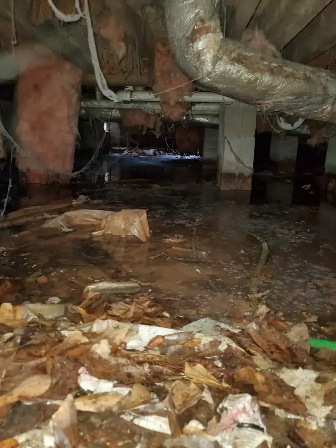 Crawl space flood assessment for Leak Detection & Repair in Holly Springs